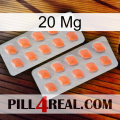 20Mg 27